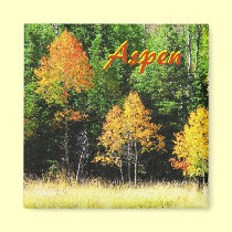 Aspen Magnet--Aspen Trees, Fall Color magnets