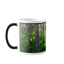 Aspen Mug