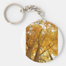 Aspen of Colorado Keychain