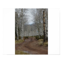 aspen road posters