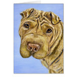 Aspen - Shar Pei Dog Art Card