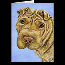 Aspen - Shar Pei Dog Art cards