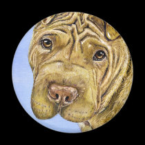 Aspen - Shar Pei Dog Art magnets