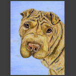 Aspen - Shar Pei Dog Art Shirts