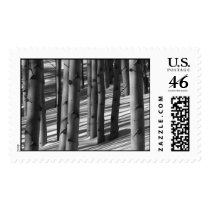 Aspen Snow Shadows postage
