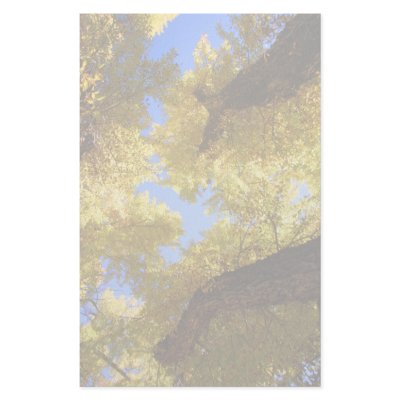 aspen stationery by WorldDesign