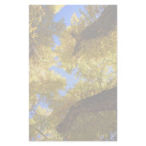 aspen stationery
