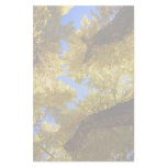 aspen stationery