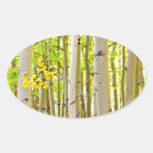 Aspen Tree Forest Autumn Time Portrait Oval Stickers