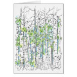 Aspen Tree Grove Ink Drawing Blank Card