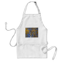 Aspen tree looking up through yellow leaves. aprons