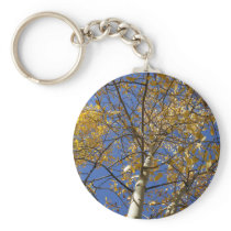 Aspen tree looking up through yellow leaves. key chains