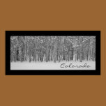 Aspen Tree Panorama Poster Print