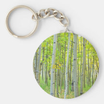 aspen_trees_autumn_time.jpg key chain