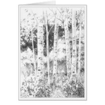 Aspen Trees cards