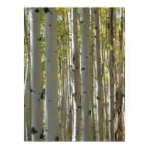 Aspen Trunks vertical print