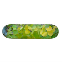 AspenGreen Skateboard!