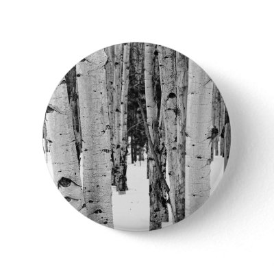 Aspens Pins by BigEye_Photography