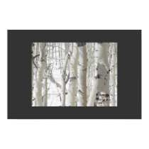 Aspens Close-Up posters