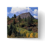 Aspens, Colorado Rockies Pins