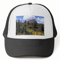 Aspens, Colorado Rockies Mesh Hat