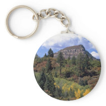Aspens, Colorado Rockies Keychain