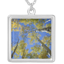 Aspens from Below necklace