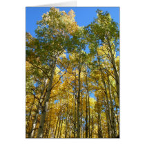 Aspens in the Fall cards by WeforRoxte Aspens in the Fall cards