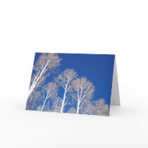 Aspens in Winter cards by TranquilityPhoto Aspens in Winter cards
