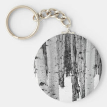 Aspens Key Chains