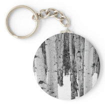 Aspens Key Chains