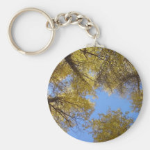 aspens keychain