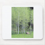 Aspens Mouse Pad