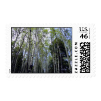Aspens Stamp