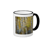 Aspens with Java Coffee Mugs