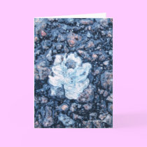 Asphalt rose Card