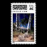 Aspins and Tetons, Grand Teton... stamps