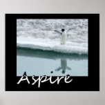 Aspire posters