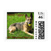 ASR Stamps