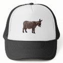 ass hat