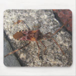 Assassin Bug ~ mousepad