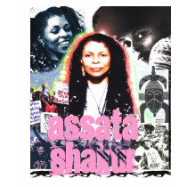 Assata Shakur "She Who Struggles" t-shirts by VoiceOfTheVoiceless Assata Shakur "She Who Struggles" t-shirts