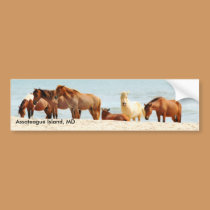 Assateague island Bumper Sticker bumper stickers