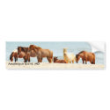 Assateague island Bumper Sticker bumper stickers