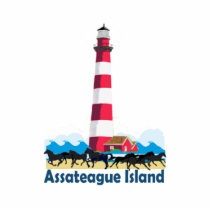 Assateague Island. photo sculptures