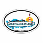 Assateague Island.