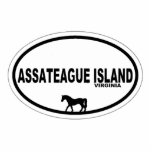 Assateague Island.