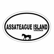 Assateague Island. photo sculptures