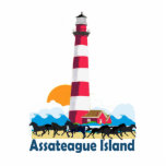 Assateague Island.