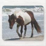 Assateague Island Pony Use Mat